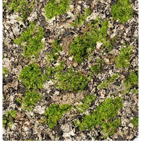 Covor artificial muschi verde gri - 50x50 cm Premier Decor
