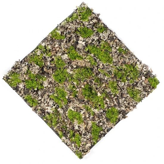 Covor artificial muschi verde gri - 50x50 cm