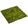 Muschi artificial decorativ Hypnum 100x100 cm