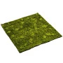 Muschi artificial decorativ Hypnum 100x100 cm