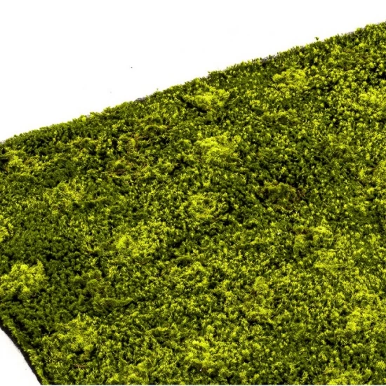 Muschi artificial decorativ Hypnum 100x100 cm