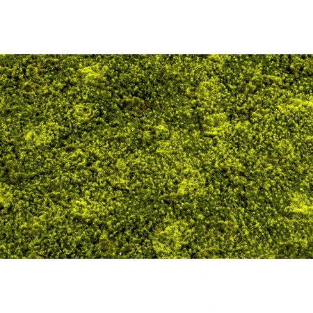 Muschi artificial decorativ Hypnum 100x100 cm Premier Decor