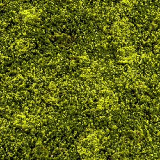 Muschi artificial decorativ Hypnum 100x100 cm