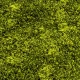 Muschi artificial decorativ Hypnum 100x100 cm
