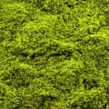 Muschi artificial decorativ verde 100x100 cm