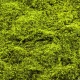 Muschi artificial decorativ verde 100x100 cm