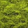 Muschi artificial decorativ verde 100x100 cm