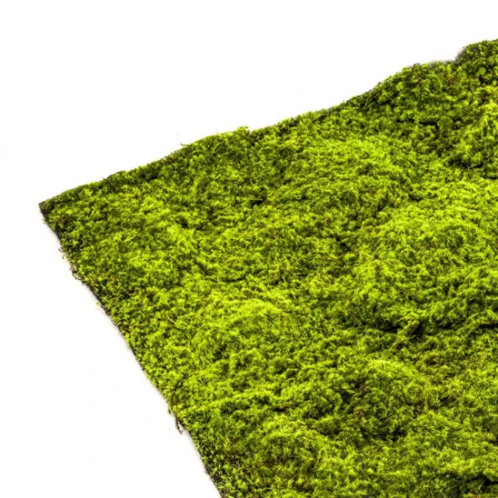 Muschi artificial decorativ verde 100x100 cm