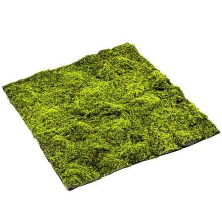 Muschi artificial decorativ verde 100x100 cm Premier Decor