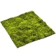 Muschi artificial decorativ verde 100x100 cm