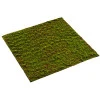 Muschi artificial decorativ Grimmia 100x100 cm