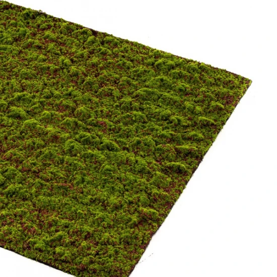 Muschi artificial decorativ Grimmia 100x100 cm