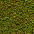 Muschi artificial decorativ Grimmia 100x100 cm