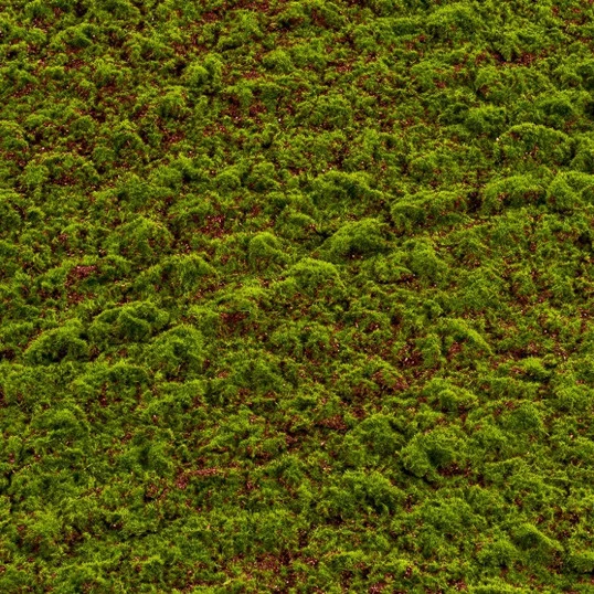 Muschi artificial decorativ Grimmia 100x100 cm
