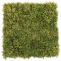 Muschi artificial decorativ islandez 50x50 cm