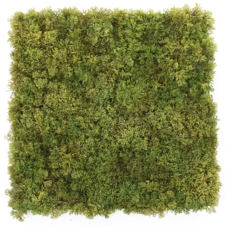 Muschi artificial decorativ islandez 50x50 cm Premier Decor