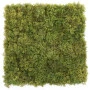 Muschi artificial decorativ islandez 50x50 cm