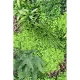 Perete verde artificial 6360 100x100 cm