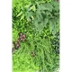 Perete verde artificial 6360 100x100 cm