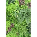 Perete verde artificial 6360 100x100 cm