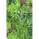 Perete verde artificial 6360 100x100 cm
