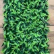Panou Decorativ cu Iarbă Verde 40x60 cm pentru Interior Panou Decorativ cu Iarbă Verde 40x60 cm pentru Interior