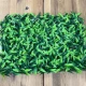 Panou Decorativ cu Iarbă Verde 40x60 cm pentru Interior Panou Decorativ cu Iarbă Verde 40x60 cm pentru Interior