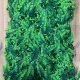 Panou Decorativ cu Ferigă și Buxus Verde 40x60 cm