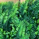 Panou Decorativ cu Ferigă și Buxus Verde 40x60 cm