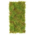 Muschi decorativ artificial 50×25 cm Verde 26146-UV71