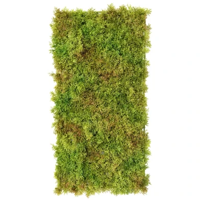 Muschi artificial decorativ mix verde 25x50 cm Premier Decor