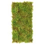 Muschi decorativ artificial 50×25 cm Verde 26146-UV71