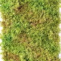 Muschi decorativ artificial 50×25 cm Verde 26146-UV71