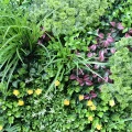 Perete artificial pădure tropicală GW6135 - 100 x 100 cm