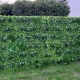 Perete artificial verde cu flori albe - 100 x 100 cm