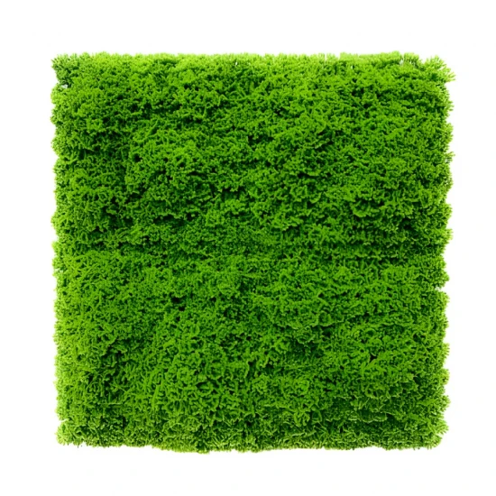 Perete vegetal artificial mușchi GW7002 - 100 x 100 cm