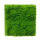 Perete vegetal artificial mușchi GW7002 - 100 x 100 cm