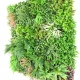 Perete verde artificial 6355 100 x 100 cm