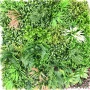 Perete verde artificial 6355 100 x 100 cm