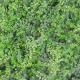 Perete verde artificial amestec de feriga 50 x 50 cm