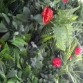 Perete verde artificial Dianthus GW6121 - 100 x 100 cm