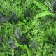 Perete verde artificial Green Space 6350 100 x 100 cm