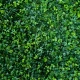 Perete verde artificial GreenWall Meadow 100 x 100 cm GW6008