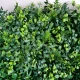 Perete verde artificial GreenWall Meadow 100 x 100 cm GW6008