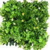 Perete verde artificial verde-galben 50 x 50 cm