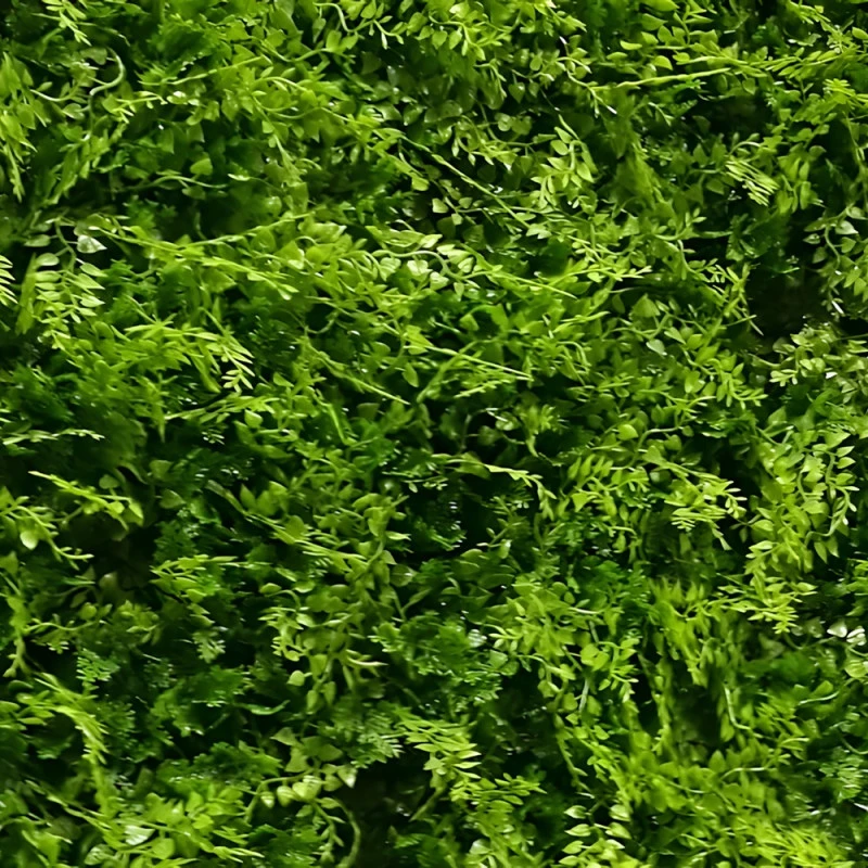Perete verdeță artificială ferigă Asplenium 100 x 100 cm GW6117