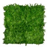 Perete verdeță artificială ferigă Asplenium 100 x 100 cm GW6117