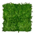 Perete verdeță artificială ferigă Asplenium 100 x 100 cm GW6117