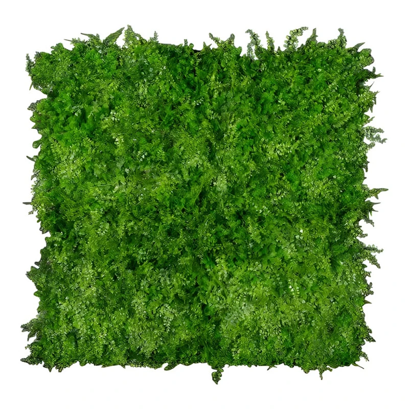 Perete verdeță artificială ferigă Asplenium 100 x 100 cm GW6117
