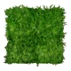 Perete verdeță artificială ferigă Asplenium 100 x 100 cm GW6117